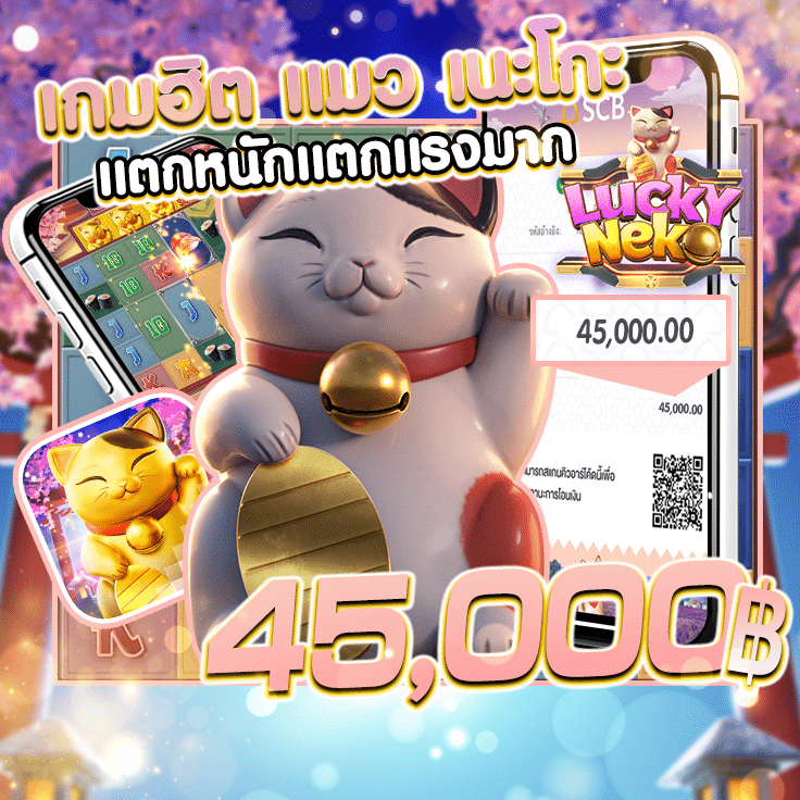 noo666.info